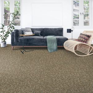 Living room Carpet | Vic's Carpet & Flooring